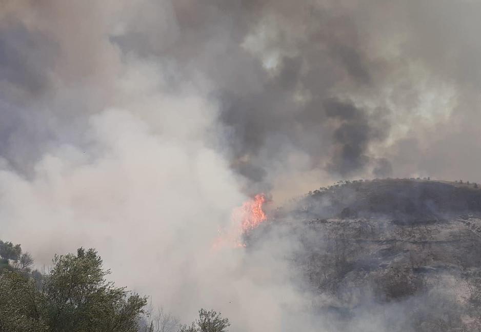 Επικίνδυνες διαστάσεις στην φωτιά στην Ηλεία – Πλησιάζει στα σπίτια, απομακρύνονται κάτοικοι
