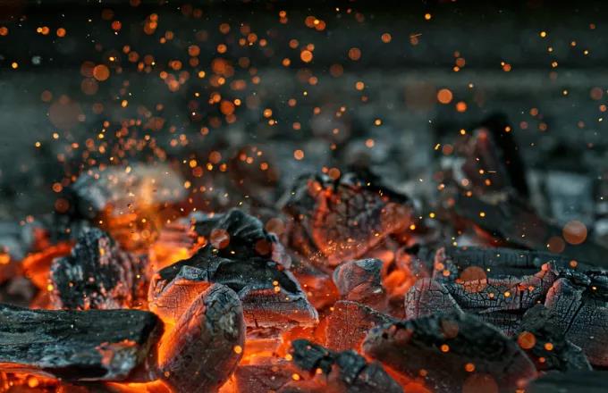 Ψάρι στα κάρβουνα πριν από... 780.000 χρόνια