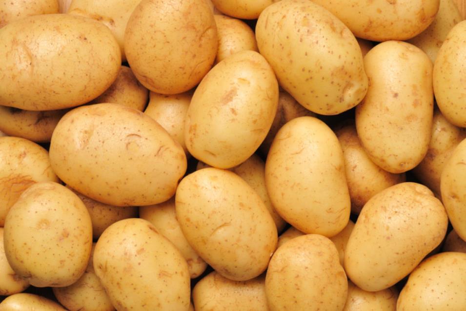 Η αποενοχοποίηση της πατάτας: Καταρρίφθηκε ο μύθος πως παχαίνουν