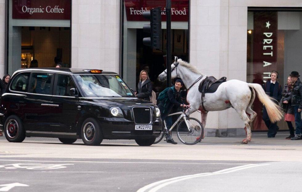 Λονδίνο: Αφηνιασμένα άλογα του Βασιλικού Ιππικού προκάλεσαν πανικό στο κέντρο της πόλης (βίντεο)