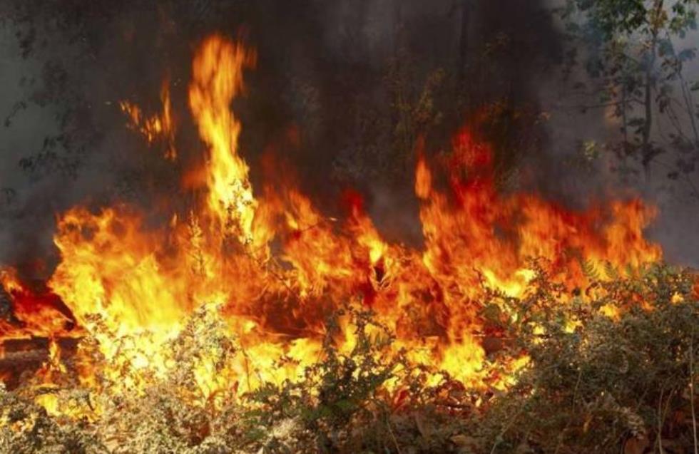 Υπό έλεγχο η πυρκαγιά στον Πύργο Τηλλυρίας