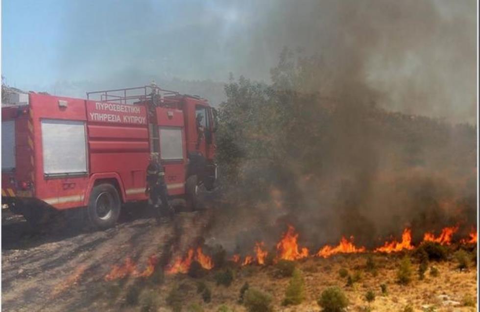 Πυρκαγιά στην Κοκκινοτριμιθιά – Μάχη για να αποτραπεί η επέκταση της φωτιάς στις Δασικές Βιομηχανίες