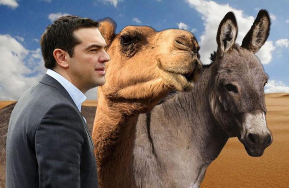 Νέο ρεσιτάλ αγγλικών από Τσίπρα: «We ate the camel…»