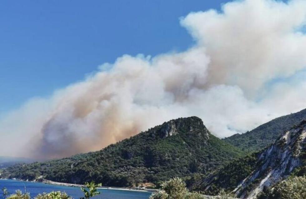 Φωτιά στη Σάμο: Καλύτερη η εικόνα - Συνεχίζεται η «μάχη» σε διάσπαρτες εστίες (Φωτο & Βίντεο)