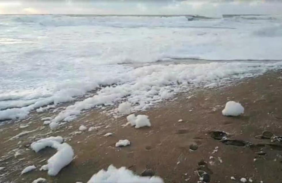 Το σπάνιο φαινόμενο «Cappuccino coast» σε θάλασσα της Πάφου (βίντεο)