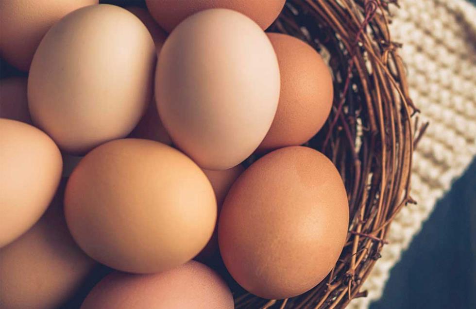 Πώς να αποθηκεύσουμε σωστά τα αυγά μας;