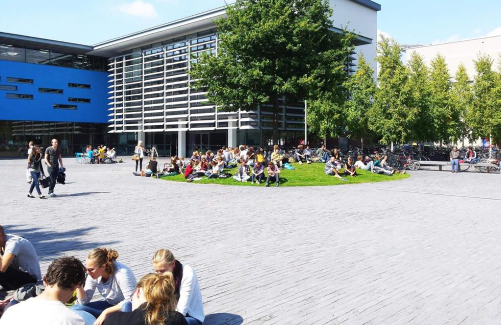 Πώς θα γίνουμε η νέα Ολλανδία χωρίς αγγλικά προγράμματα στα πανεπιστήμια;
