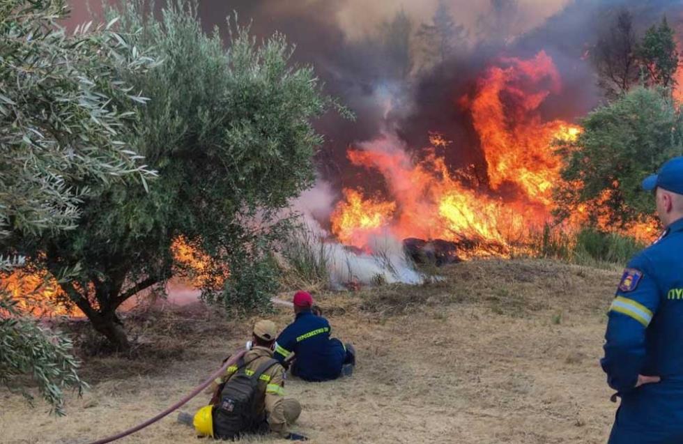 Νέος συναγερμός στην Ελλάδα - Πυρκαγιά στα Μέγαρα, εκκενώθηκε περιοχή