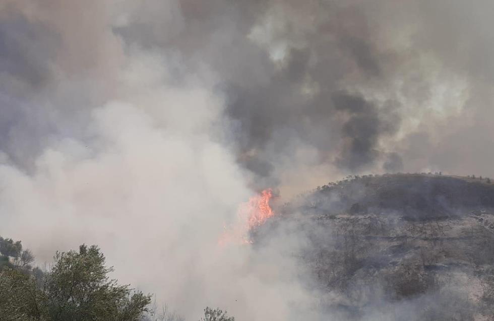 Επικίνδυνες διαστάσεις στην φωτιά στην Ηλεία – Πλησιάζει στα σπίτια, απομακρύνονται κάτοικοι
