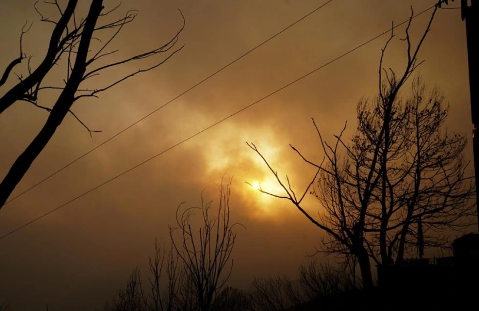 Πυρκαγιά στον Έβρο: Μάχη για να σωθεί το δάσος της Δαδιάς (φώτος, βίντεο)