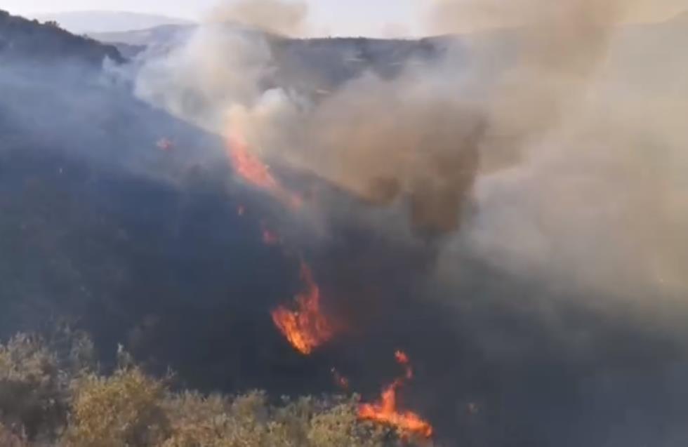 Ανεξέλεγκτη η πυρκαγιά παρά το πεδίο βολής στην Αγία Φύλα, ενώ πέφτει ο ήλιος (φωτογραφίες, βίντεο)