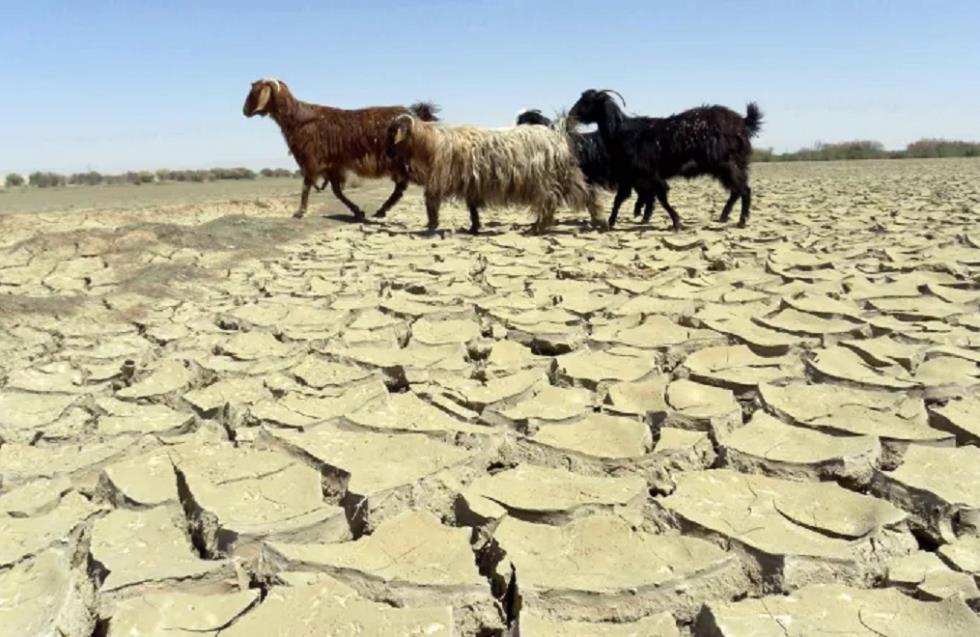 Ευρωπαϊκή γεωργία: Θύμα της κλιματικής αλλαγής - To ιταλικό παράδειγμα