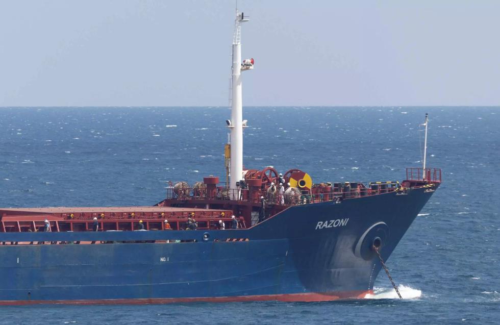 Άλλα δύο πλοία με δημητριακά απέπλευσαν από ουκρανικά λιμάνια