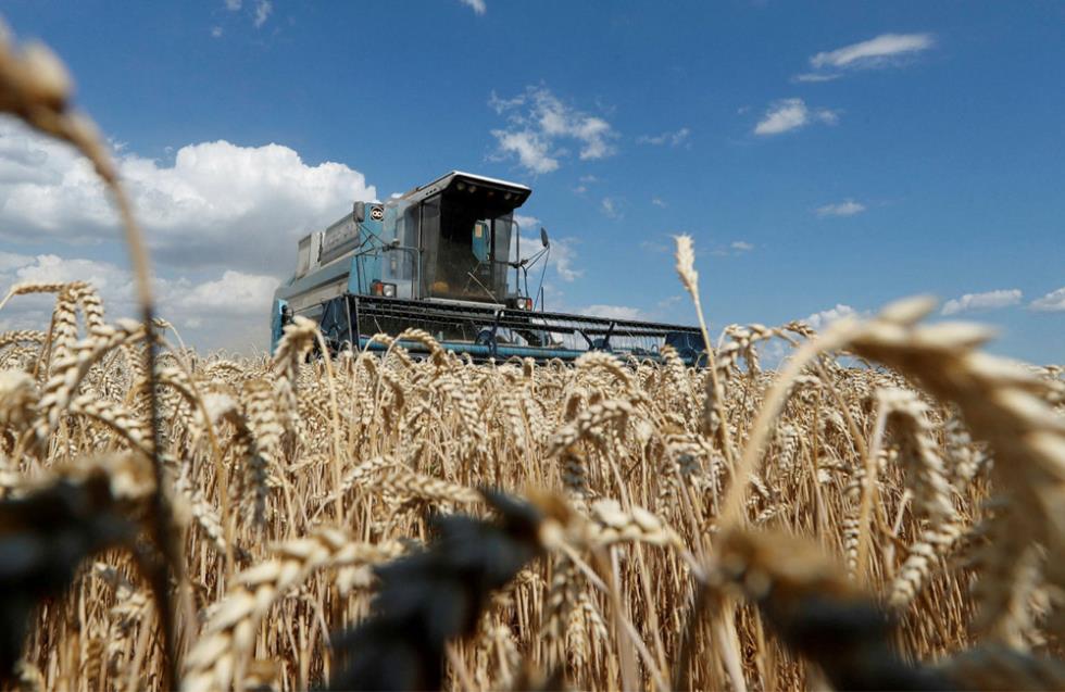 ΟΗΕ - Συγκρατημένη αισιοδοξία για τις εξαγωγές ουκρανικών σιτηρών