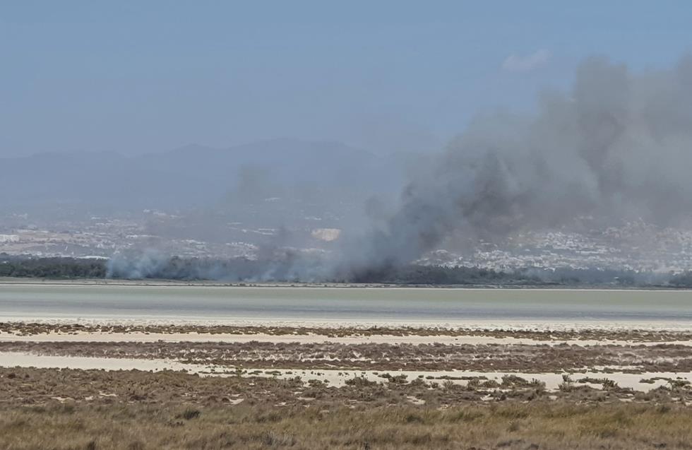 Υπό έλεγχο η φωτιά στην Λεμεσό - Επίγειες δυνάμεις προβαίνουν σε τελικές κατασβέσεις