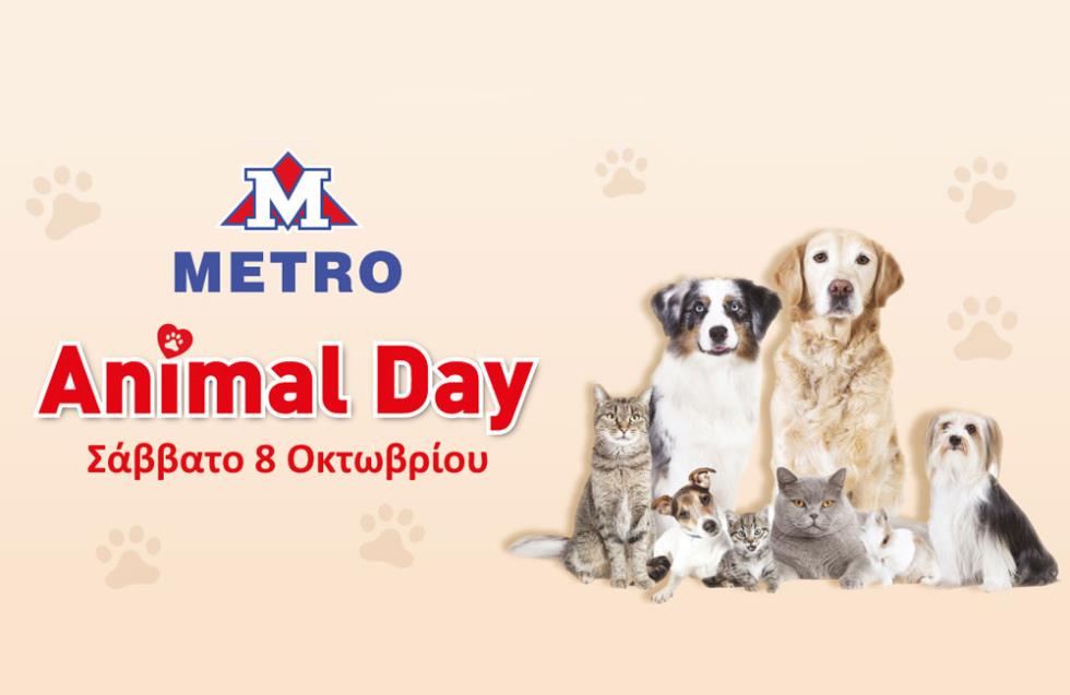 METRO Animal Day. Ακόμα μία χρονιά τα METRO στηρίζουν έμπρακτα τα αδέσποτα ζώα της Κύπρου.