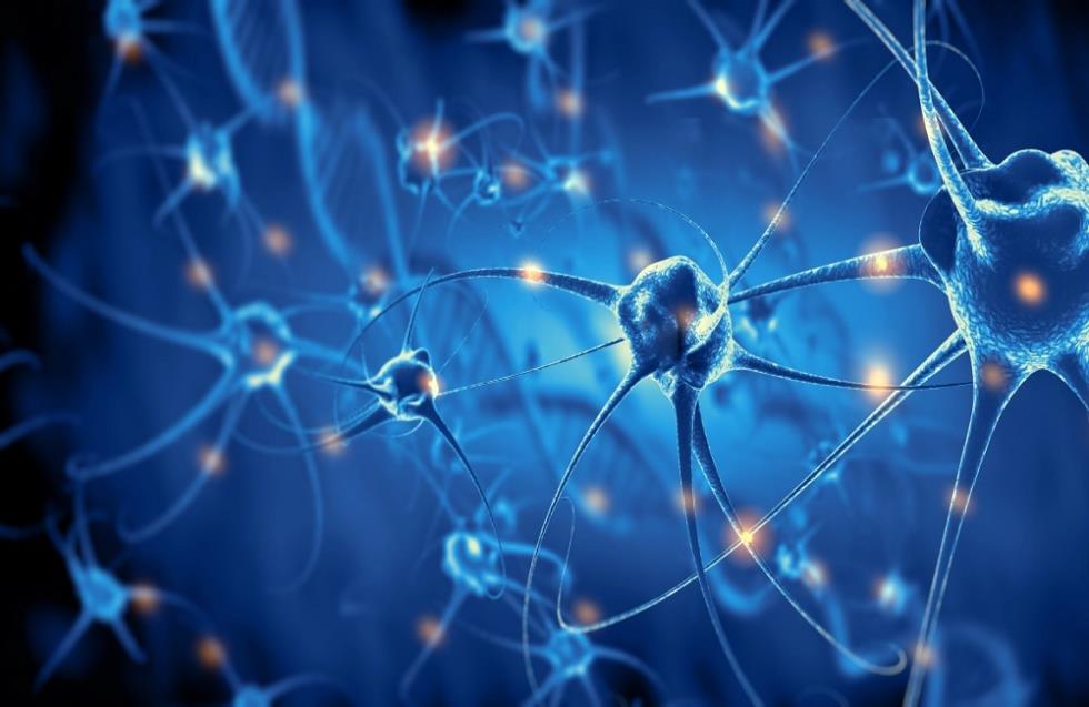 Σημαντική επιστημονική ανακάλυψη: Εντοπίστηκαν νευρώνες που αποκαθιστούν το βάδισμα σε παράλυτους, μετά από ηλεκτρική διέγερση