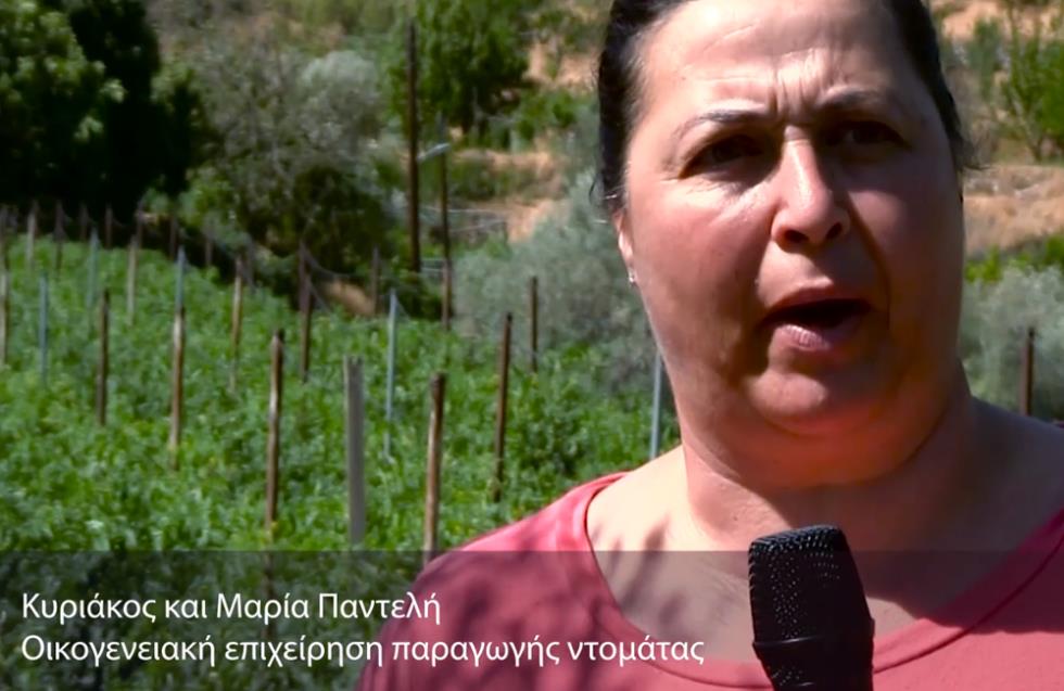 ΠΡΑΣΙΝΟΣ ΠΟΛΙΤΗΣ - Επισκεψη σε 3 αγροκτήματα (παραγωγή και μεταποίηση ντομάτας και κυπριακού μηλίτη)