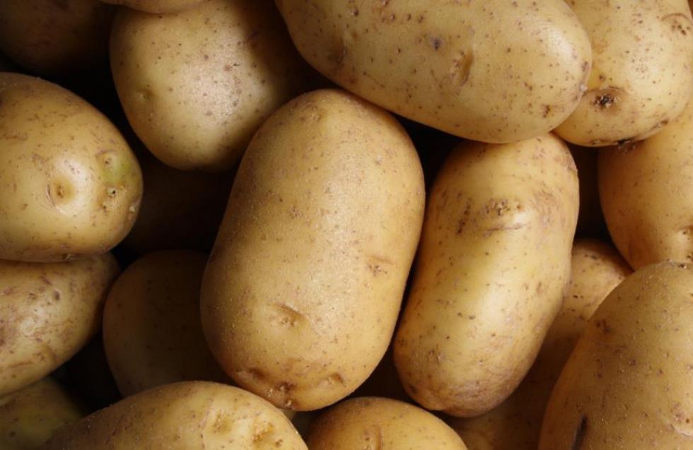 Η αποενοχοποίηση της πατάτας: Καταρρίφθηκε ο μύθος πως παχαίνουν