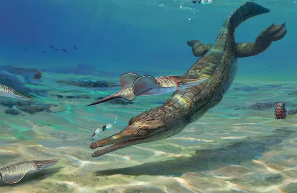 Βρετανία - ανακάλυψη: Πανάρχαιος ωκεάνιος κροκόδειλος μήκους δύο μέτρων και 185 εκατ. ετών