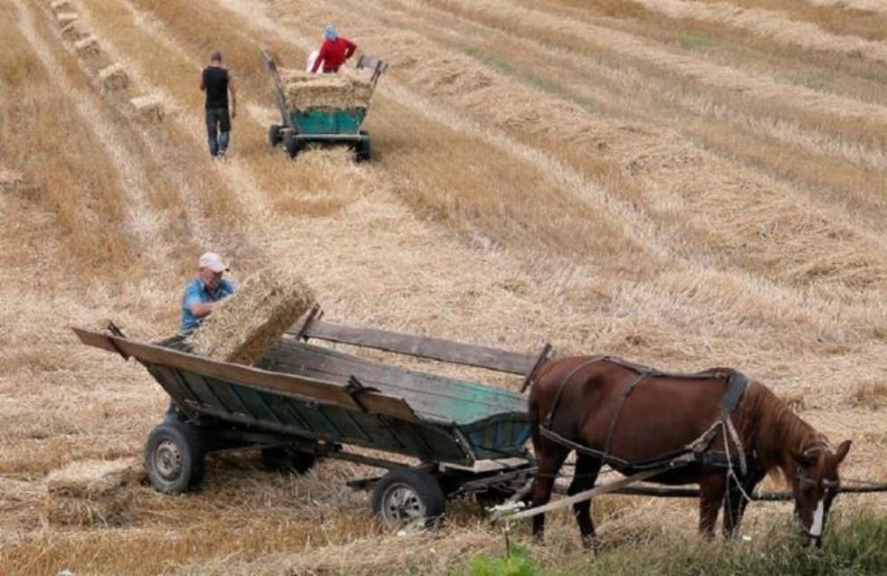 Πώς η κρίση Ρωσίας-Ουκρανίας θα βουλιάξει την παγκόσμια αγορά τροφίμων - Θα πούμε το ψωμί ψωμάκι