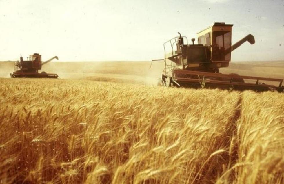 Ο ΓΓ του ΟΗΕ αναμένεται να αποκαλύψει τις συνομιλίες για τις εξαγωγές σιτηρών της Ουκρανίας