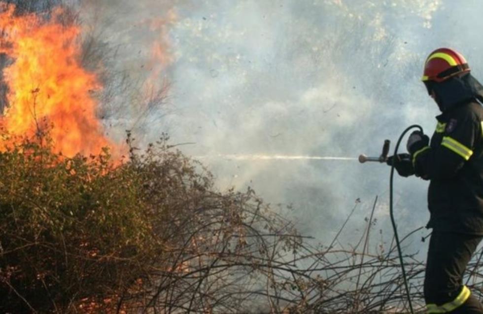 Υπό πλήρη έλεγχο πυρκαγιά που εκδηλώθηκε στην Τεμβριά
