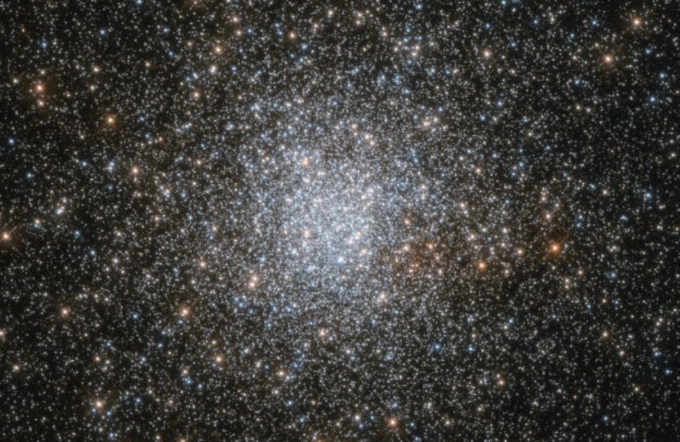  6.500 έτη φωτό μακριά μας: Ανακαλύφθηκε νέο αστρικό μελίσσι στο κέντρο του γαλαξία