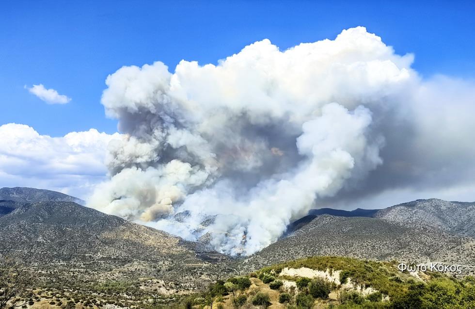 Ανεξέλεγκτη η πυρκαγιά στη Λεμεσό: Σε εφαρμογή το Σχέδιο Ήφαιστος - Ενεργοποίηση του RescEU ζήτησε η Κύπρος