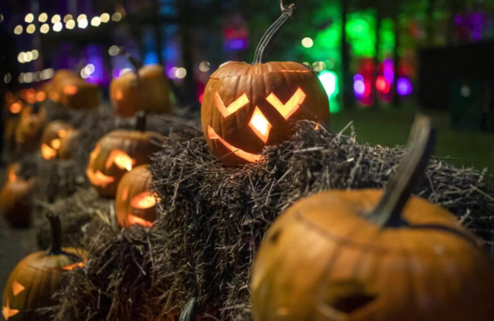 Samhain: Ο αρχαίος πρόδρομος του Halloween και οι παγανιστικές του παραδόσεις