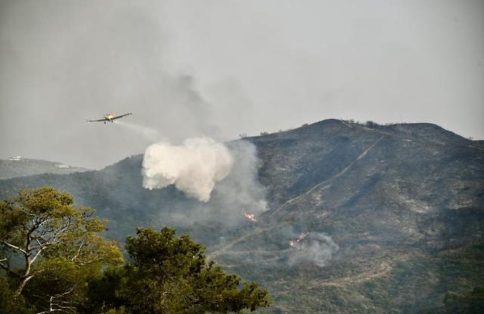 Σε ύφεση η δασική πυρκαγιά στο Κρατικό Δάσος Λεμεσού 