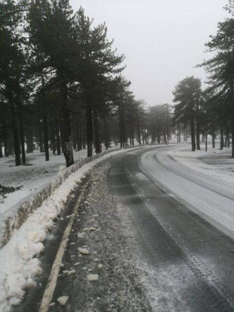 troodos8